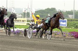 Största segern i karriären för Scarlet Knight är givetvis segern i Hambletonian 2001. Foto: Thomas Blomqvist