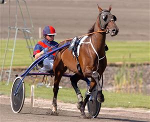 Klar för Olympiatravet. Kart de Baudrairie, här med tränaren Franck Leblanc. Foto: Thomas Blomqvist