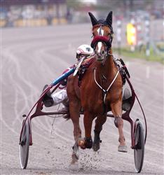 Needles'n Pins och Lutfi Kolgjini är i Drottningens Final efter en knapp men säker seger i försöket. Foto: Lars Jakobsson.