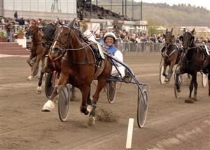 Peter Ingves jublar efter målgången med Fama Currit i Drottning Silvias Pokal Foto:Thomas Blomqvist