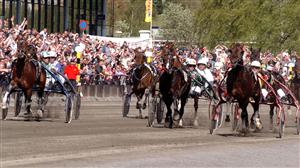 Steinlager vinner Oslo Grand Prix. Foto: Thomas Blomqvist