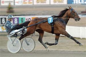 Ferrari Broline är hittills obesegrad efter tre starter. Foto: Petri Johansson.