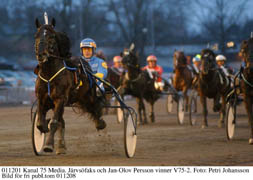 13:e raka V75-segern tog Järvsöfaks tillsammans med Jan-Olov Persson.	Foto: Petri Johansson