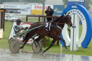 Jaded imponerar stort och vinner sitt E3-kval på fina tiden 1.14,5 på en kladdig bana. Foto: Claes Kärrstrand