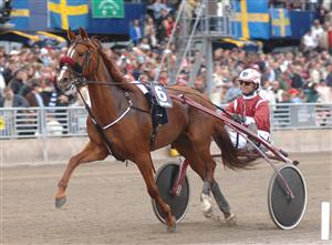 Needles'n Pins med Lutfi Kolgjini galopperade oturligt bort sig i Drottning Silvias Pokal. Revansch nu? Foto: Lars Jakobsson