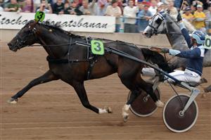 Gazza Degato vann på 1.11,3. Snabbare har ingen häst travat på Axevalla. Foto: Thomas Blomqvist