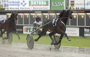 Så här såg det ut när Jaded vann sitt försök till E3 på Örebro. Jaded blev megafavorit i finalen men tröttnade efter toköppning och blev trea. Första steget mot revanch 15 augusti på Färjestad.