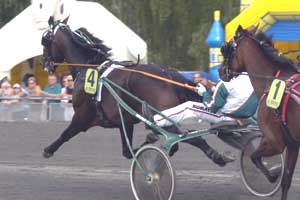 Jaded, en av våra två finalister till Svenskt Travkriterium 2005.
