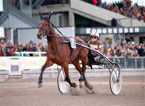 Torbjörn Jansson körde stjärnhästen Victory Tilly i Kriteriet 1998. Då blev det en sjätteplats. Foto: Kanal 75.