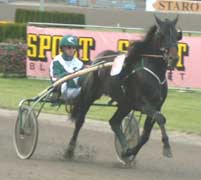 Tycoon Boko är en klassig kille som är på gång igen efter ett uppehåll.Foto: Annika Lindblom