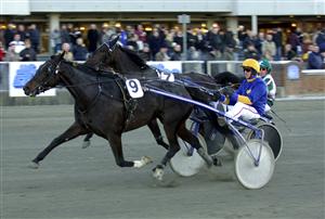 Inga Gelj och Boo Folkeson skrällvann V75-2 efter en rykande slutkurva. Foto: Tommy Andersson/ALN.