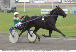 En åttaårig valack aspirerade på den inofficiella titeln månadens häst på V75 i decmber. Två starter gav två lätta segrar. Foto: Martin Langels/P&R