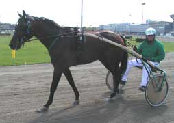 Joker gör V75-debut på Gävle.Foto: Annika Lindblom