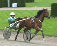 Komedi har ännu inte fått det att klaffa i det starter hon gjort men hon kan bättre.Foto: Annika Lindblom