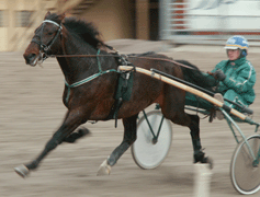 West Chip var bra som trea senast. Klarar han starten idag?Foto: Annika Lindblom
