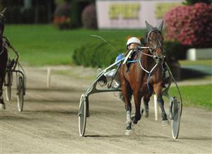 Early Southwind imponerade på Solvalla. Foto: Lars Jakobsson
