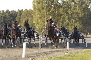In Cap N'Gown vinner stayerloppet för Steen Juul och imponerar stort. Foto: Mats Hansson/ALN.