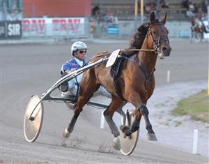 Vala Boko har gjort det mesta rätt såhär långt i karriären och på söndag har hon bra chans att, tillsammans med Jorma Kontio, ta hem Svenskt Trav-Oaks. Foto: Adam Ström.