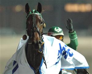 Dontfencemein vann för andra gången på en månad med Roger Pettersson på Solvalla. Foto: Lars Jakobsson