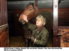 Brunton Tilly, en bror till världsstjärnan Victory Tilly, räddades i sista stund när träningsstallet hos Stall Tilly brann ner på fredagen. På bilden ser vi Kerstin Tillander från stall Tilly , tillsammans med Brunton. 	Foto: Claes Kärrstrand/P&R