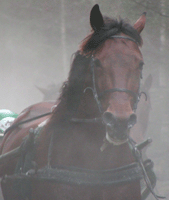 Ikväll startar High Speed i V65 på Romme.