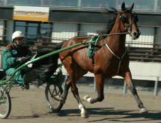 Coarggio var inte som bäst senast och förhoppning är att han nu visar sig från sin rätta sida.Foto: Annika Lindblom