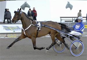 Brunton Tilly. Foto: Claes Kärrstrand.