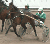 Långklivande Martellina är på väg upp i form.Foto: Annika Lindblom