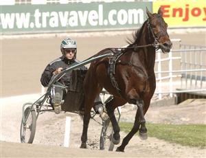 Noel Daley var fullt tillfreds även med hur A Touch of Flair kändes. Foto: Lars Jakobsson.