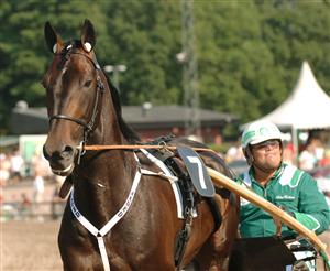 Vinnaren av Sweden Cup, Jaded och Stefan Hultman. Foto: Lars Jakobsson