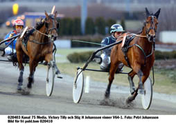 Victory Tilly behövde inte alls ta ut sig för att vinna årets andra start. Stig H Johansson tyckte det var bra att Victory Tilly fick ta det så lugnt.Foto: Petri Johansson