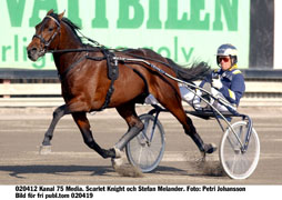 På fredagen fick Scarlet Knight trava 1.15 över 1600 meter. Helst hade han velat springa fortare.	Foto: Petri Johansson