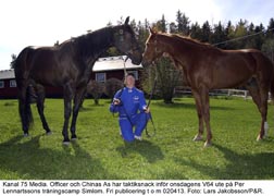 Toppstart på året. Officer och Chinas As är två bidragande orsaker till att Per Lennartssons stall har 40 segrar på mindre än 200 starter i år.Foto: Lars Jakobsson /  P&R