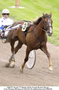 Hilda Zonett valde bort Elitloppet för att istället starta i Harper Hanovers lopp på lördag inom V75.Foto: Thomas Blomqvist