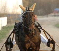 opal_viking_framifran_070923_185440