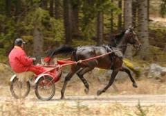 surtees-hanover-walmann-rakbana-skogen-lj_080414_173313