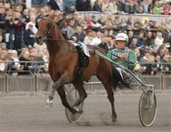 torvald-palema-lj_080417_132257