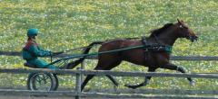 Jocose-080522-1