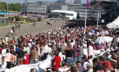 bild1