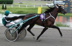 stocken