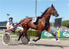 Going Kronos vann på söndagen Rekordförsöket i Tingsryd på 1.10,7, vilket är fem tiondelar sämre än gällande banrekord. Foto: Claes Kärrstrand.