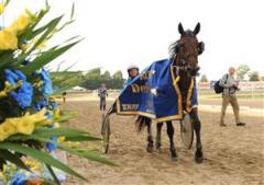 bobtail_segerdef_lj_080907_183341