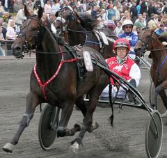 Jeroboam vid en av sina segrar för sin nya ägare, stall Rita. Foto: Martin Timm