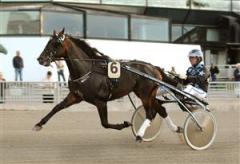 &Aring;ke Lindblom bakom sin startkatapult Ryan Trot. Foto: Maria Holm&eacute;n