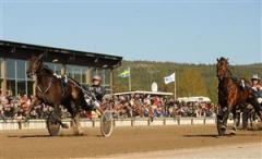 dig_for_dollars_mal_mh_090516_19723