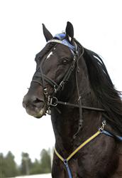 jarvsofaks_mh_090518_21253