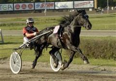 odintabac_090708_2305