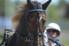 commandercr_close_tb_090824_16147