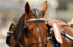 fama_currit_mh_090909_19020