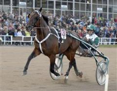 maharajah_091022_134434